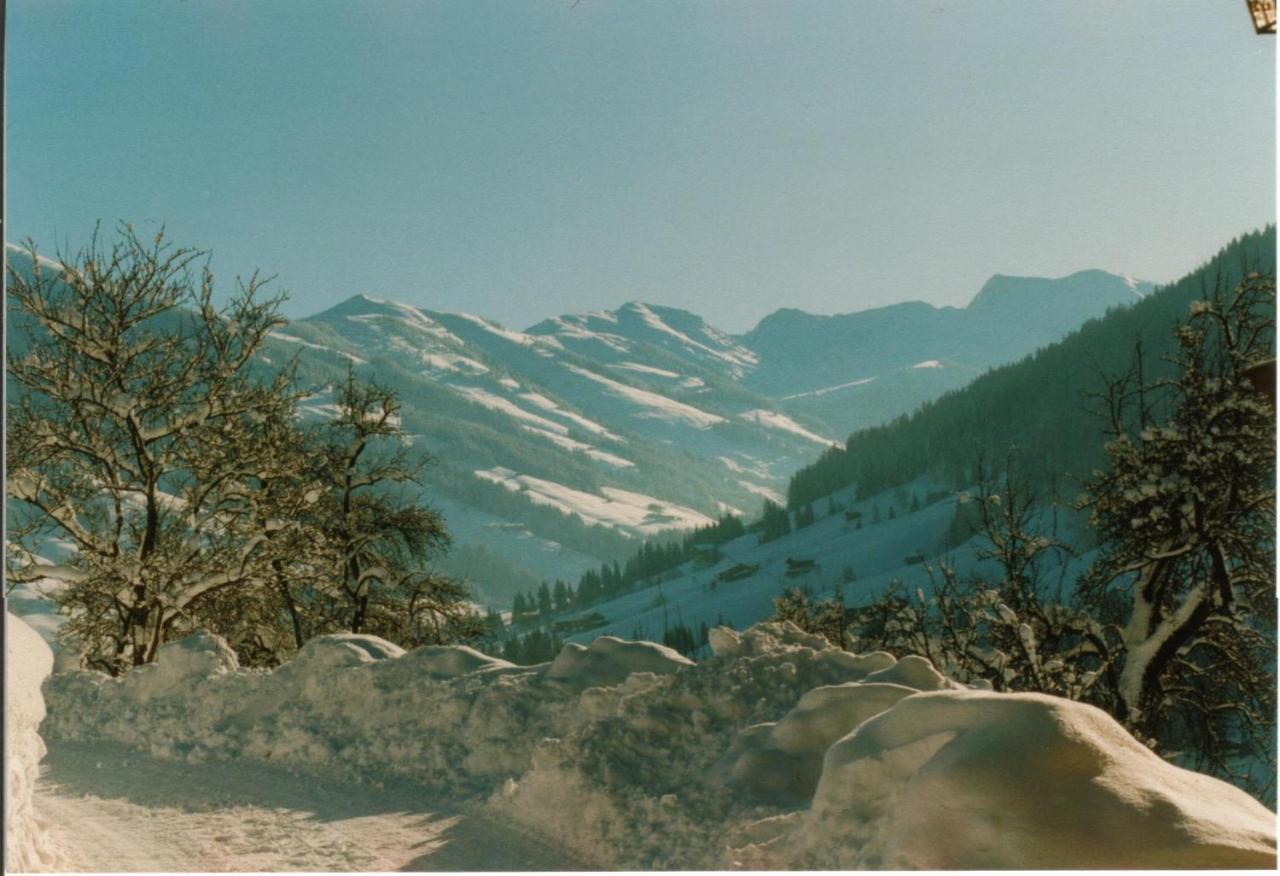 Gruberhof Villa Reith im Alpbachtal Exteriör bild